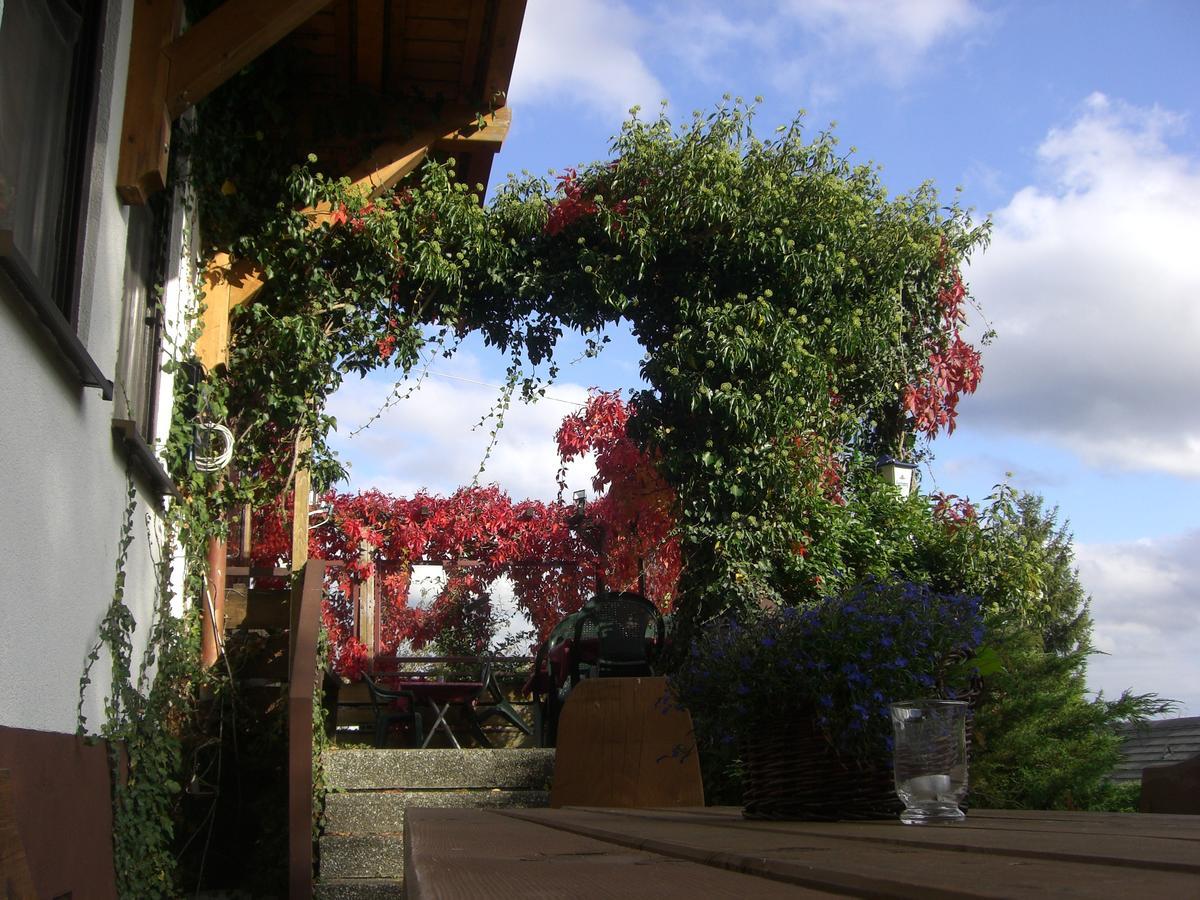 Hotel Dachsberger-Hof Wittenschwand Eksteriør billede