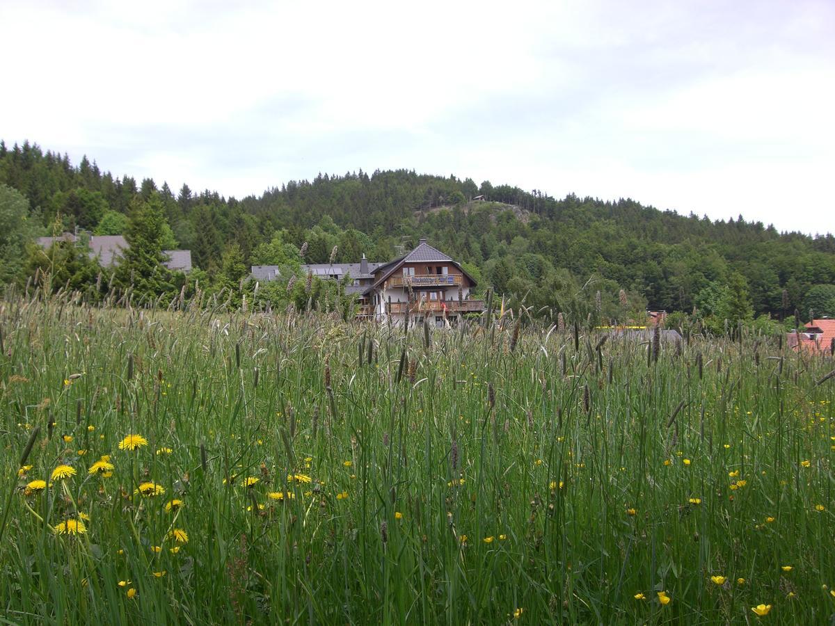 Hotel Dachsberger-Hof Wittenschwand Eksteriør billede