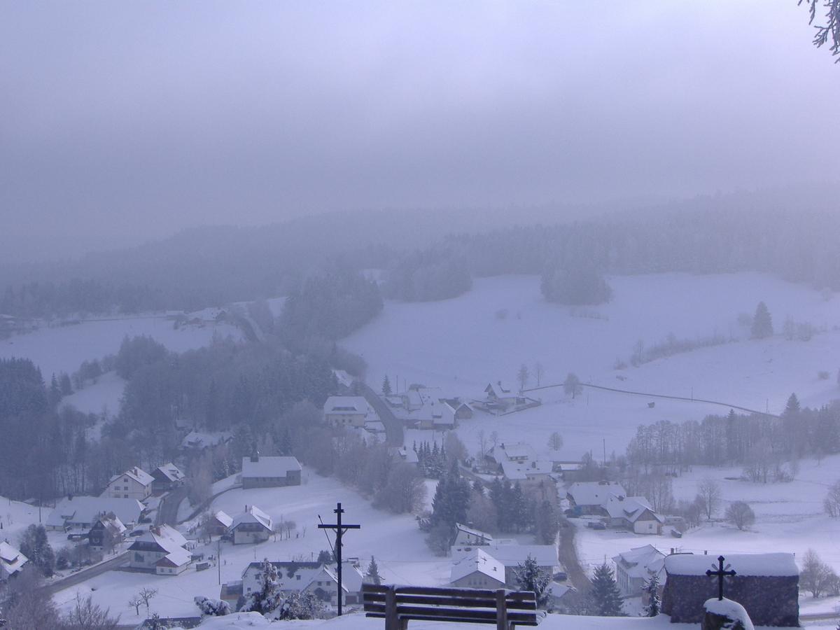 Hotel Dachsberger-Hof Wittenschwand Eksteriør billede